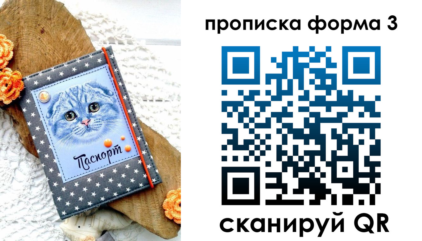 временная регистрация собственник в Большом Камне